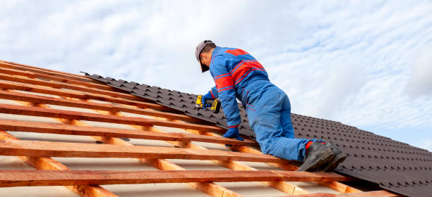 Best Roof Leak Repair  in Apopka, FL